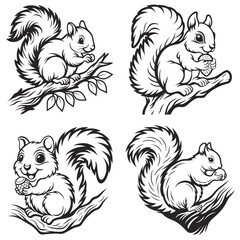 Naklejka premium 4 set line art Squirrel vector
