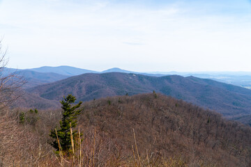 Sunlit Serenity in the Blue Ridge Mountains