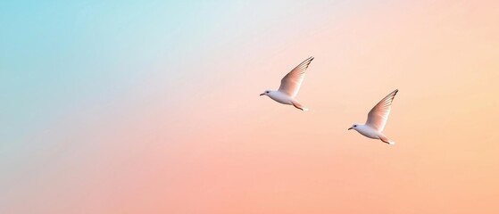 Obraz premium Two seagulls flying in the sky. the sky is a gradient of pastel colors, with the top half being a light blue and the bottom half a pale pink.