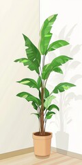 Bright green plant with large leaves is positioned in a corner of a room. The plant enhances the indoor space with a natural touch, casting a shadow on the wall as light filters in