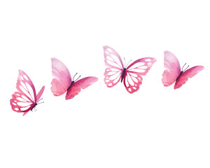 butterflies and flowers