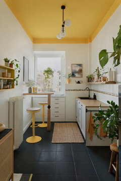 Eclectic kitchen interior with yellow ceiling, black floor and a mix of plants, textures and cheerful tones.