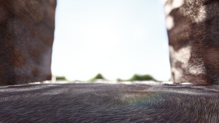 stand for product placement mockup. wood podium exhibition scene background. Minimal box platform showroom with spot light