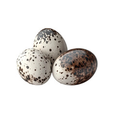 Speckled bird eggs isolated on black background close up quail eggs easter eggs food photography
