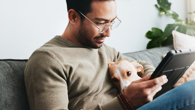 Home, dog and man on sofa, tablet and relax with social media, internet and communication. Apartment, person and guy on couch, tech and best friend with pet, connection and website info for animals