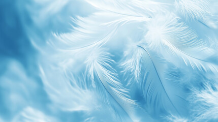 Delicate soft feathers in light blue tones creating an ethereal background