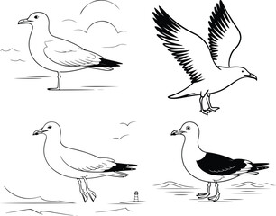 albatross line art silhouette vector illustration Albatross line arts with white background . California bird silhouette vector illustration Albatross line art vector illustration albatross line art
 