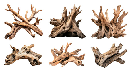 Fototapeta premium Natural Weathered aged driftwood curved rustic oak wooden tree log trunk stump wood withered sculpture on transparent cutout, PNG file. Many assorted different Mockup template for artwork design 
