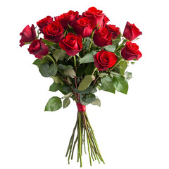 Red Roses Bouquet: Valentine's Day on white background