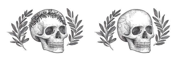 Obraz premium Skulls with Laurel Wreaths, detailed engravings of two skulls surrounded by olive branches, one adorned with a laurel wreath, showcasing intricate designs., isolated on transparent background, png
