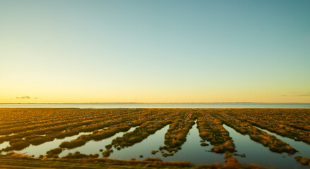 Landscape in the evening at the Hindenburgdamm in front of the island of Sylt.
