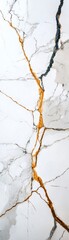 Obraz premium White Marble Texture with Golden and Gray Veins