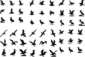 Seagulls Silhouette set consistent albatross black color silhouette vector Set of silhouettes of seagulls in flight. Set of Albatross Birds Silhouette