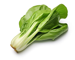 Crisp Green Bok Choy on a Clean White Background