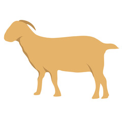 vector image of a goat