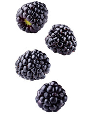 blackberries