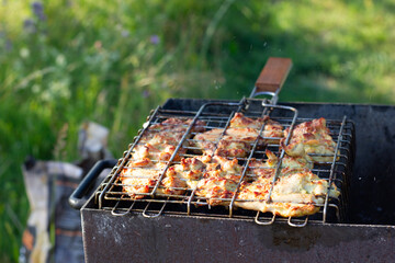 close up of grilled meat bbq and shashlik on the grill in forest