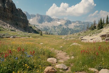 Albion Basin Wildflowers: Stunning Beauty in Alta, Utah Canyon