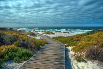 Obraz premium Asilomar Boardwalk along the Dunes. Captivating Seascape of Pacific Grove, CA