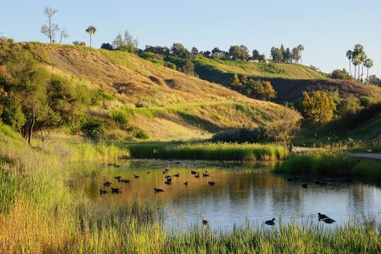 Baldwin Hills. Detail View of Kenneth Hahn State Recreation Area in Los Angeles, California