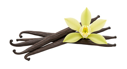 Naklejka premium Vanilla pods and flower arranged beautifully