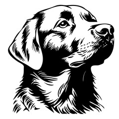 Labrador golden retriever vector