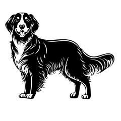 Labrador golden retriever vector