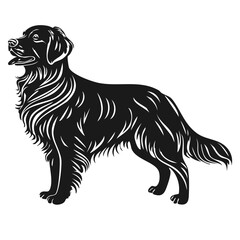 Labrador golden retriever vector