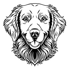 Labrador golden retriever vector
