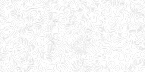 Abstract topo contour map on white background, Topographic contour lines. Seamless discovery compass pattern with lines Topographic map. Geographic mountain relief diagram line wave carve design.
