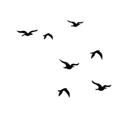 Flocking Birds Silhouette Vector – Dynamic Avian Designs for Nature Themes, Wall Art & Logos