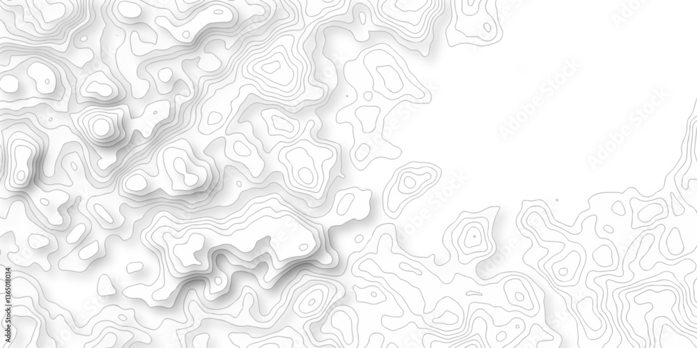Poster abstract topo contour map on white background, topographic contour lines. seamless pattern with line