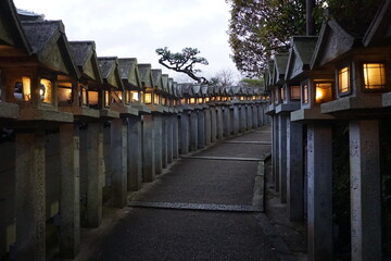 Many stone lanterns line the approach to a Japanese temple