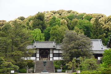 An old shrine in the forest of Japan
