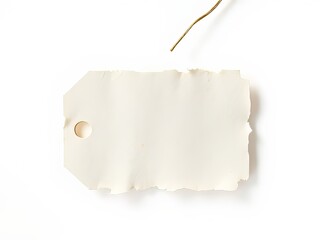 Rustic White Paper Tags Mockup - Vibrant Top View