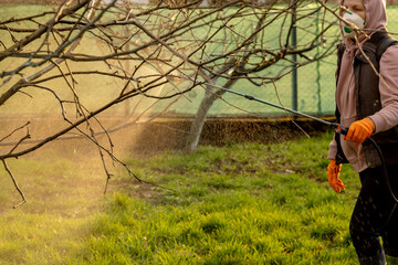 Woman spraying fungicides on a flowering fruit tree against plant and pest diseases. Used...