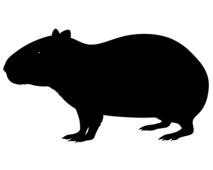 Capybara silhouette vector illustration