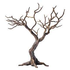 Fototapeta premium tree isolated on transparent background