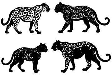 set of Leopard silhouette vector illustration