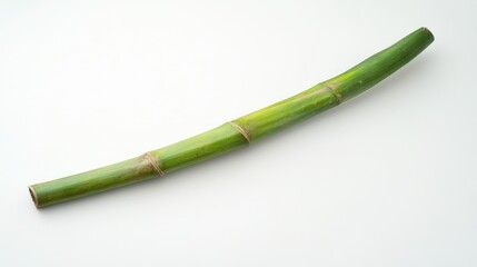 Green Bamboo Stem Against White Background