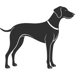Pointer Dog silhouette vector illustration