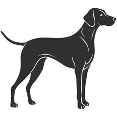 Pointer Dog silhouette vector illustration