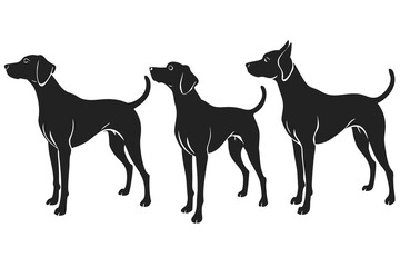 set of Pointer Dog silhouette vector illustration