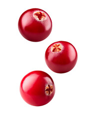 three fresh cranberries falling on transparent background