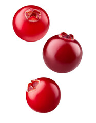 Three fresh cranberries falling on transparent background