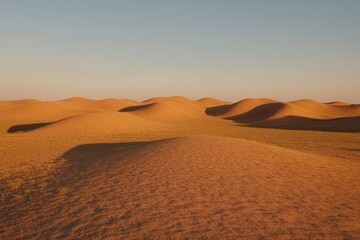 Vast golden dunes stretch endlessly under clear sky, casting lon