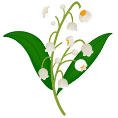 lily of the valley
