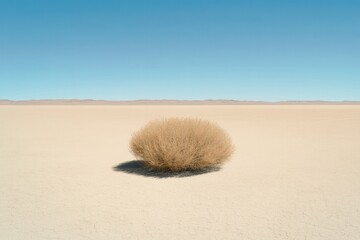 Isolated tumbleweed rests on vast, barren landscape under clear
