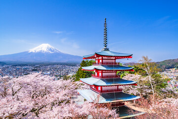 春の新倉山浅間公園　富士山、五重塔、満開の桜【山梨県・富士吉田市】　
Mt. Fuji and the five storied pagoda seen from Arakurayama Sengen Park where the cherry blossoms are in full bloom - Yamanashi, Japan