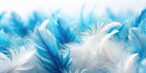 Obraz premium Abstract wallpaper: high-resolution, tilt-shift photo of colorful white and blue feathers.